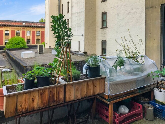 Photo - North Park Lofts - Historic Pearl District Warehouse Studio w/parking/most utilities/rooftop patio Unit NPL205