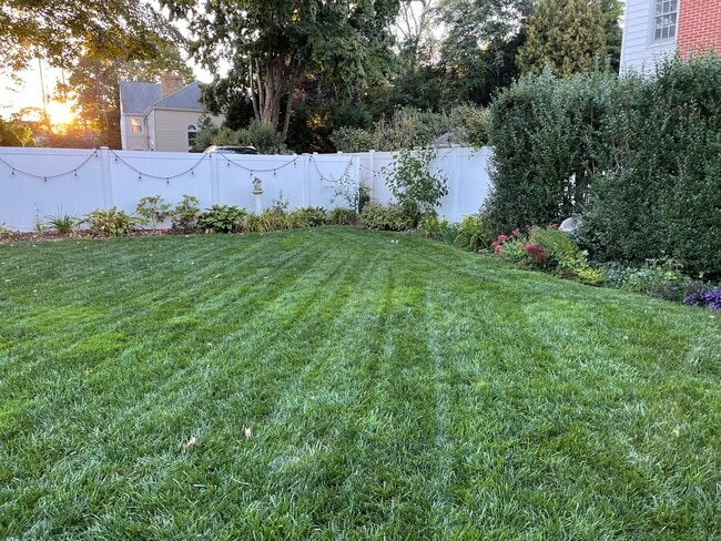 Photo - 126 East Ave