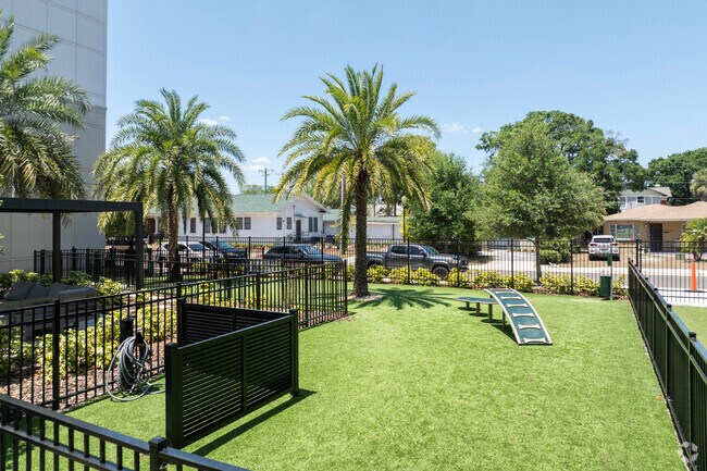 Dog Park
