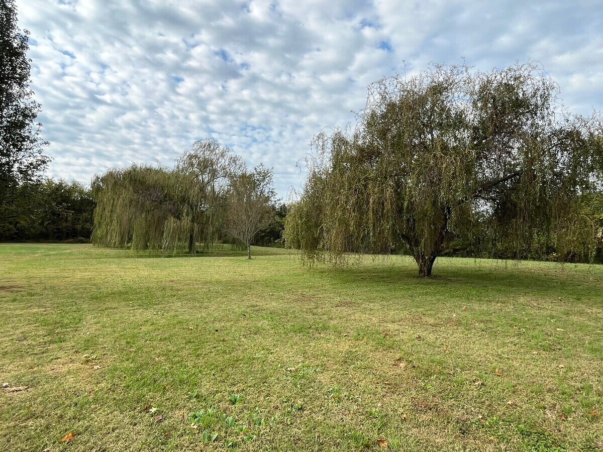 Photo - 476 Bill Russell Rd