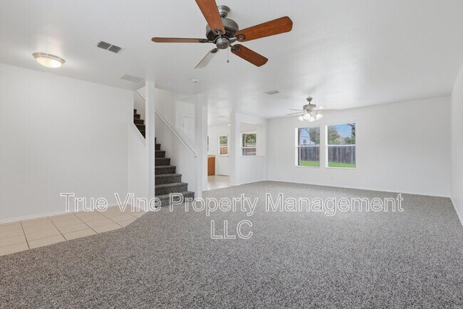 Photo - 136 Texas Mulberry