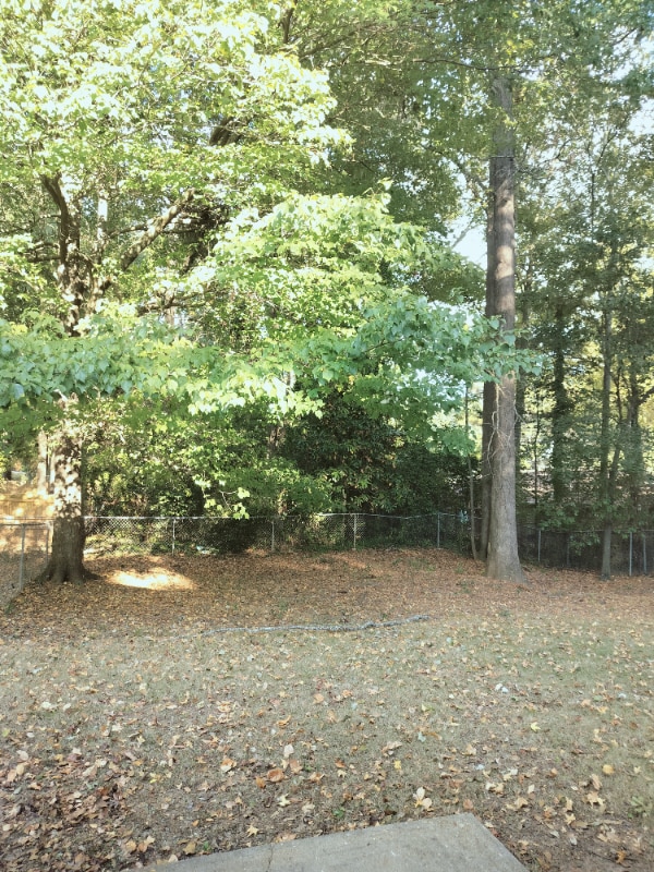 Photo - 111 Maple St