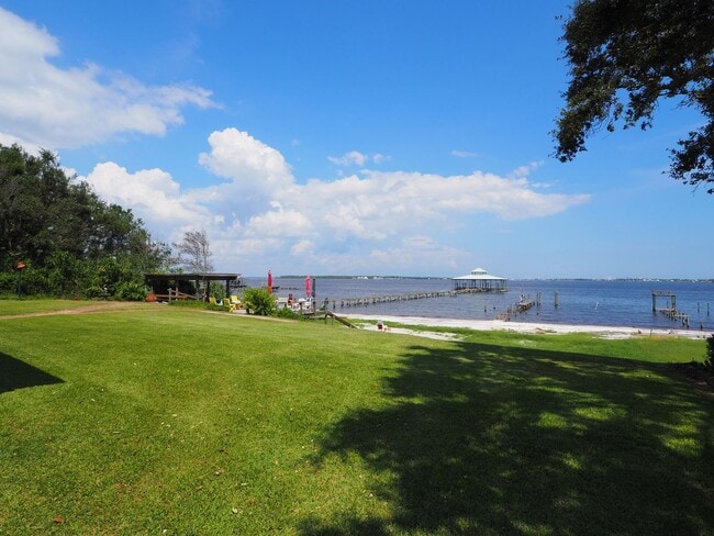 Photo - Dolphin watching from your own private beach!