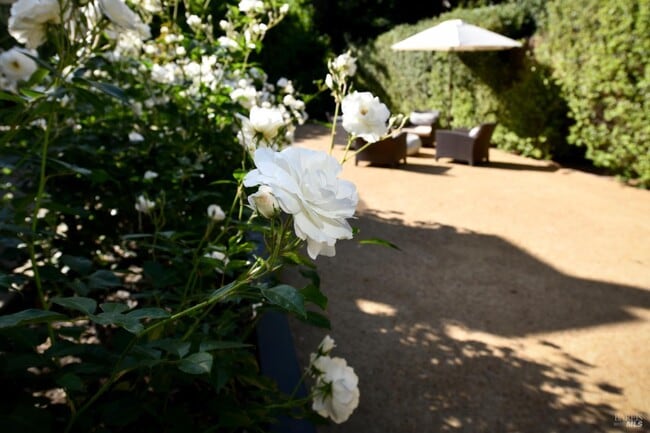 Photo - 1571 Voorhees Cir