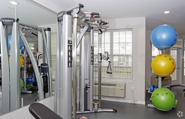 Gimnasio