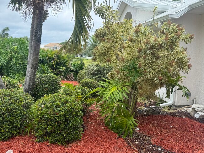 Photo - 317 Lanternback Island Dr