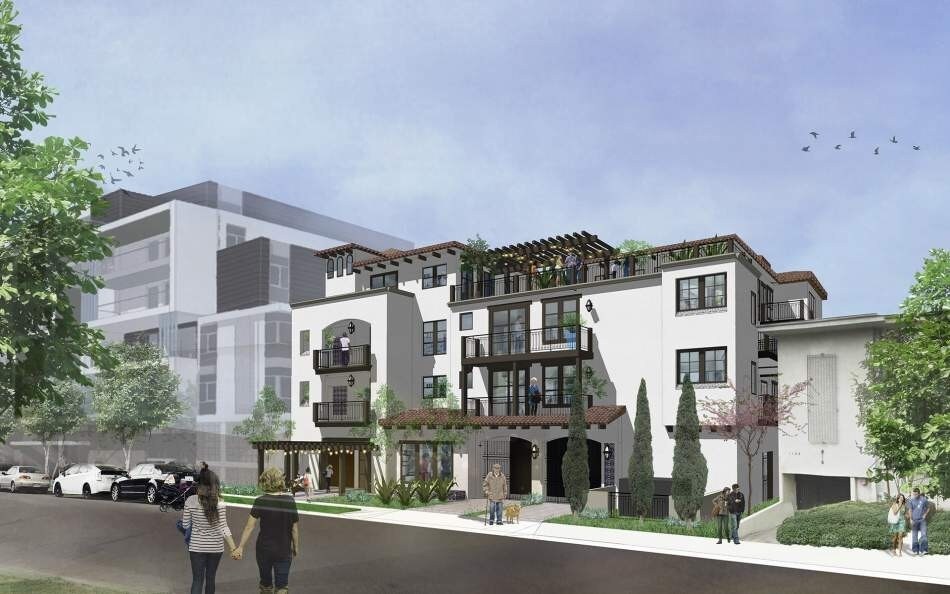 Primary Photo - Blue Hibiscus