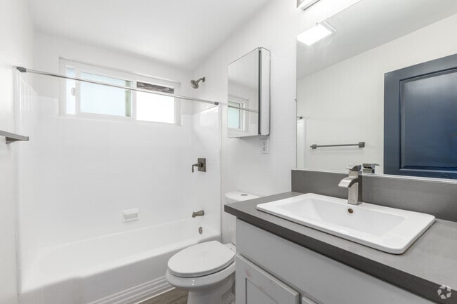 1BR, 1BA - 500SF - Bathroom