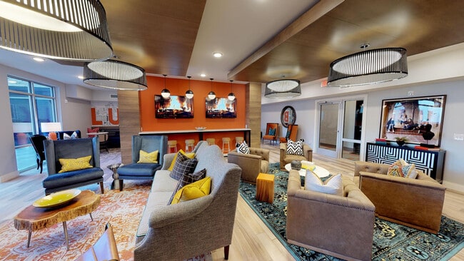 Luxe Belle | Student Housing