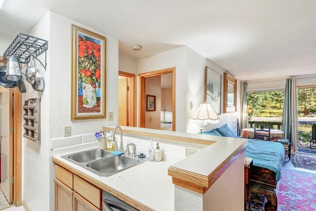 Photo - FRISCO ! Furnished! 1 pet negotiable!  An Artist's retreat! Must see.