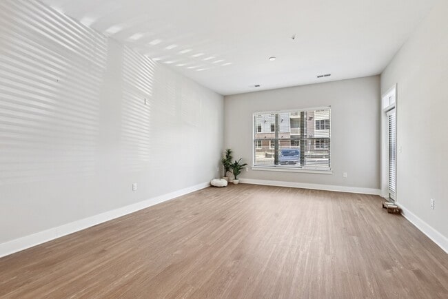 Photo - Elms Shady Grove