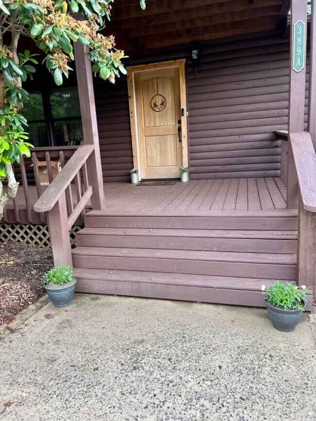 Photo - Best Kept Secret in Asheville