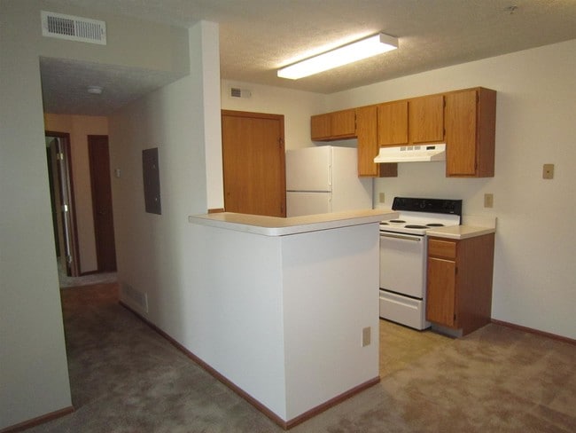 Photo - Forest Brooke