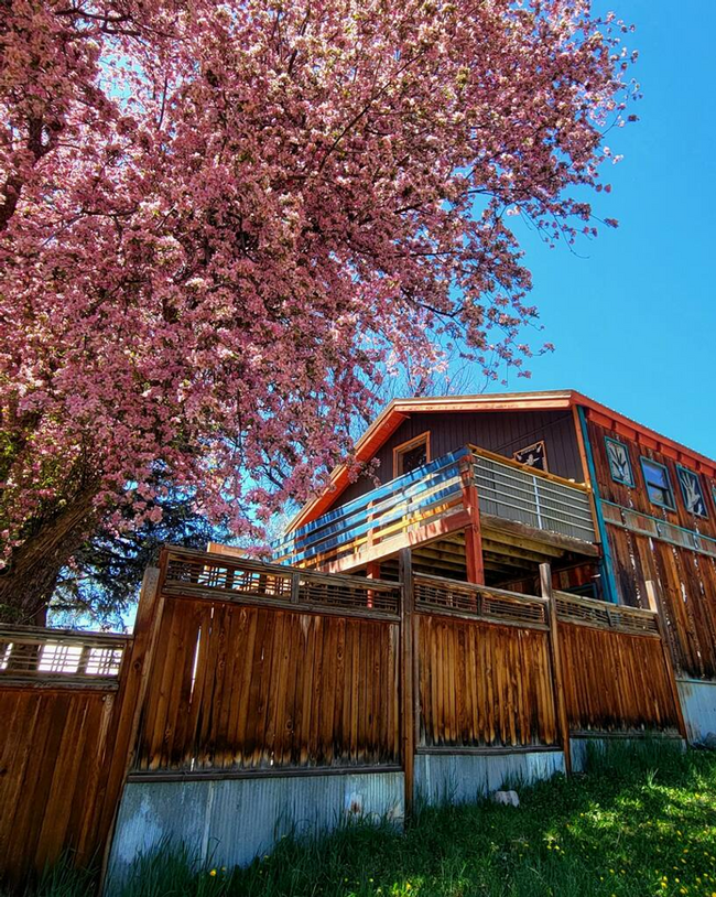 1BD Loft in the Heart of Downtown Pagosa S... - 1BD Loft in the Heart of Downtown Pagosa S...