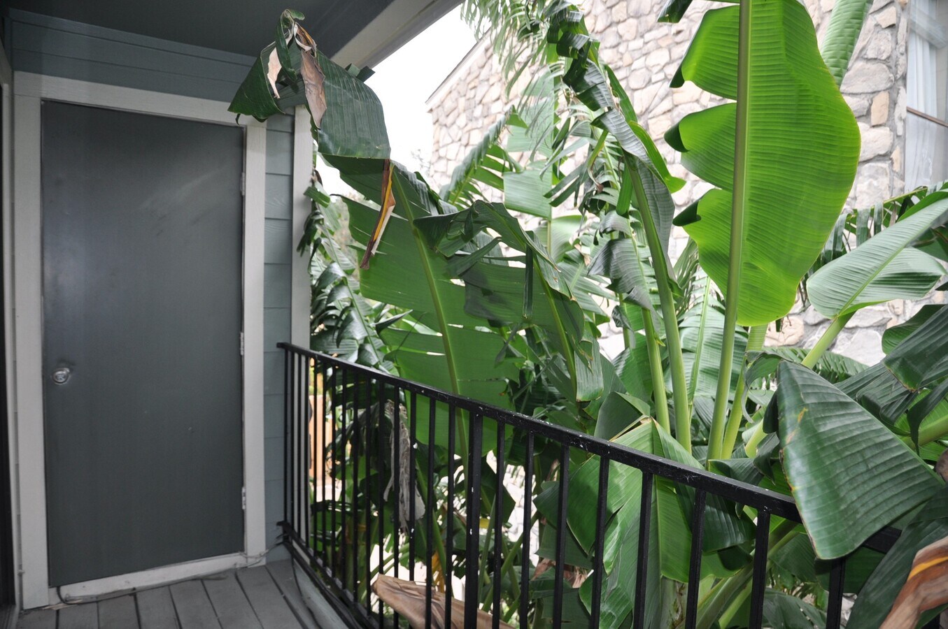 Photo - 3754 Tanglewilde St Unit C16