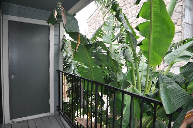 Photo - 3754 Tanglewilde St Unit C16