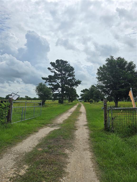 Building Photo - 29502 FM 1736 Rental
