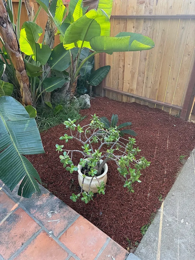 Photo - 3739 Jewell St Unidad #1