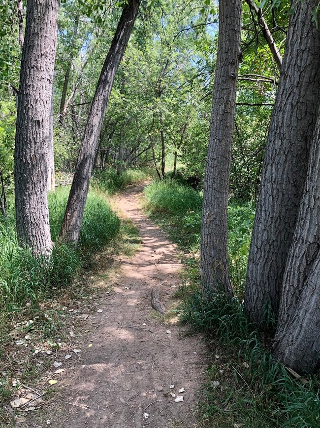 Photo - 1621 Underhill Dr