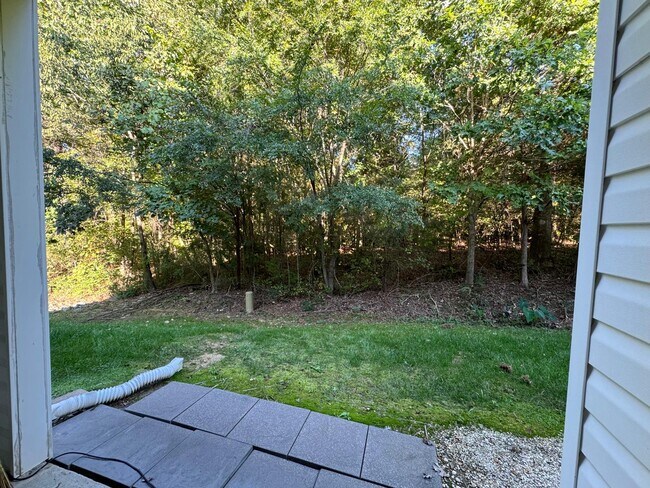 Backyard - 2488 Ryerson Ct