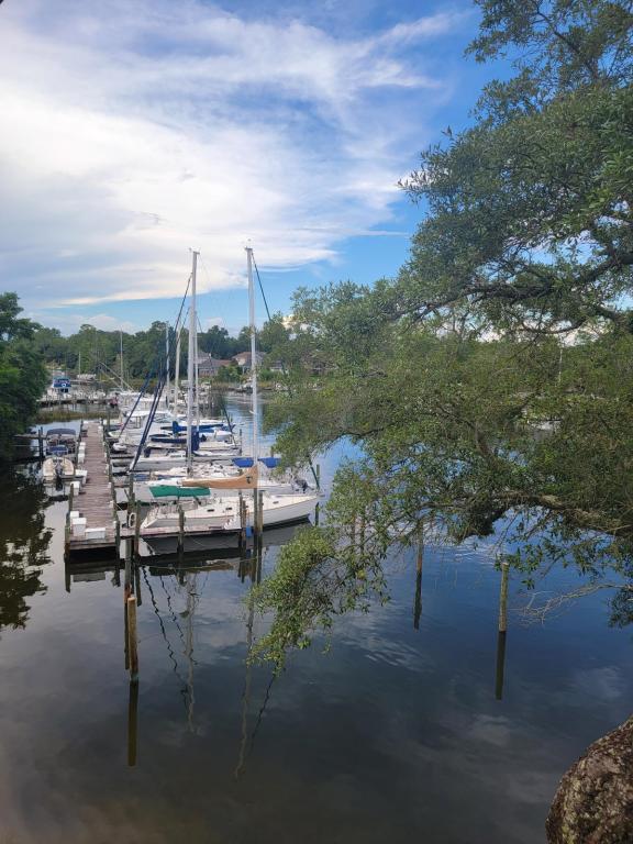 Building Photo - 300 Yacht Club Dr Rental