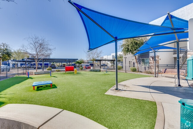 Dog Park