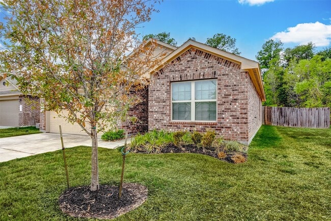 Photo - 10135 Shagbark Hickory Ct