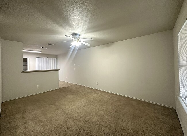 Photo - 313 Creek St