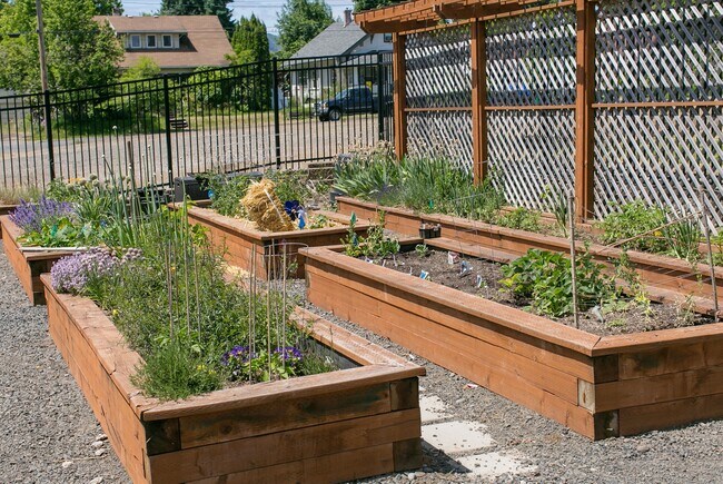 Community Garden