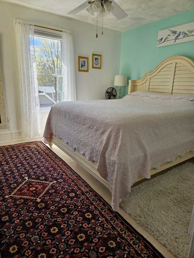 Persian Rug - 11 Circle St Unit #2