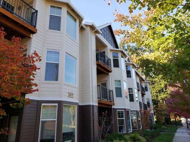 Photo - Belmar Commons