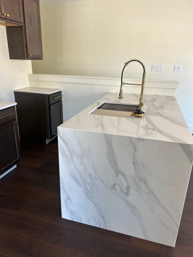 Kitchen features gas stove, pot filler, dishwasher, cup rinser, and beautifully water fall counter - 726 Lincoln St Unit Carriage house