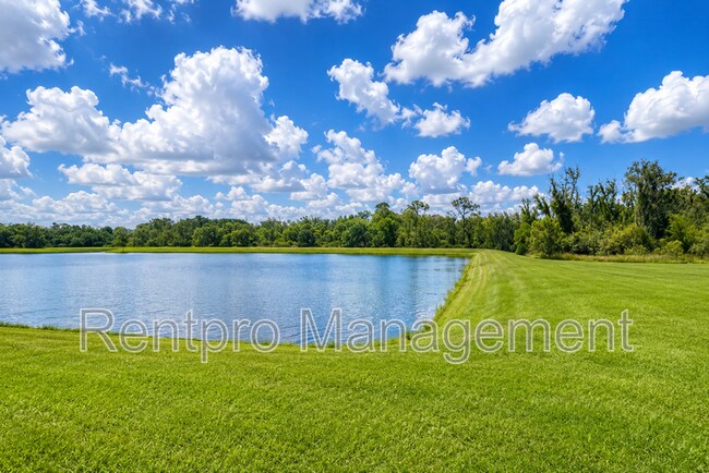 Photo - 17132 White Mangrove Dr