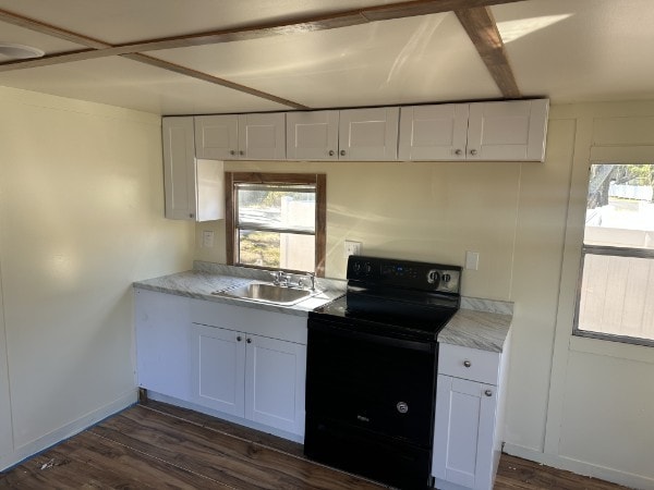 Photo - 12008 Emory Oak Loop