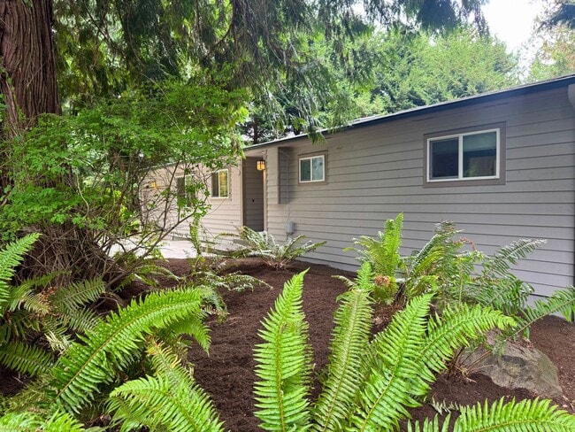 Building Photo - Winslow mid-century rambler....refreshed and ready to call home