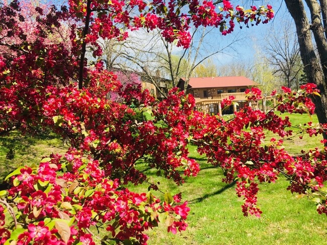 Amazing Landscaping - St. Andrews Apartments