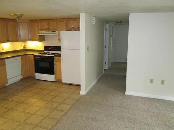 Kicthen, hallway, living room - 22 Lakeview Ave Apartments Unit 22