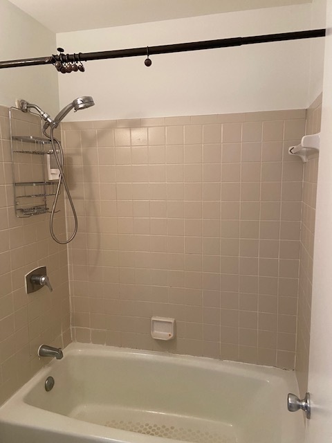 Master shower - 1051 Wirewood Dr Apartment Unit 101
