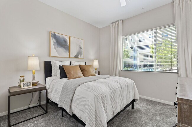 Photo - Axis Camelback