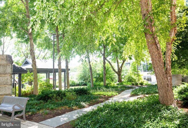 lush garden with gazebos - 2001 Hamilton St Unit 504