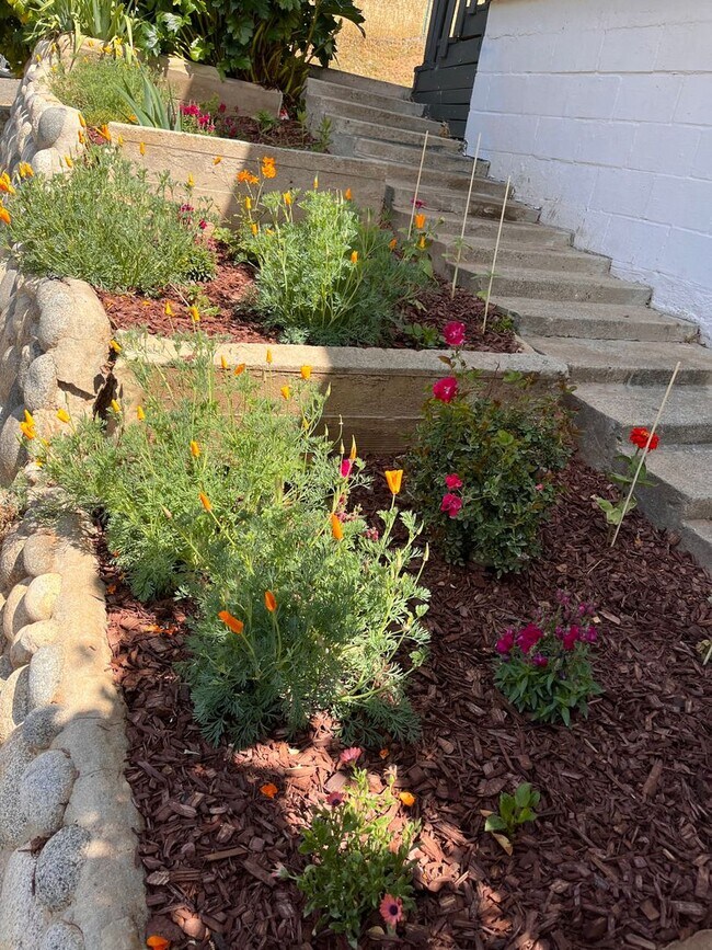 Photo - OOM The Charles Unit 3