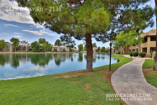 Photo - 1825 W Ray Rd Unidad 2136