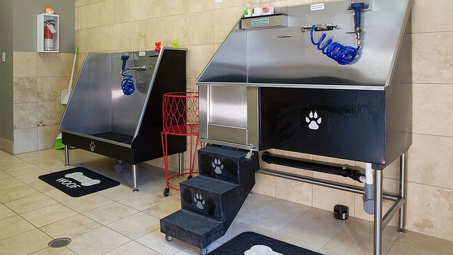 Pet Wash Lounge
