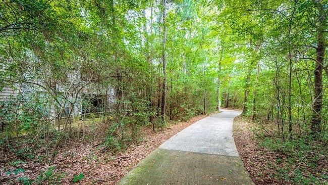 Forest View general photo - Forest View