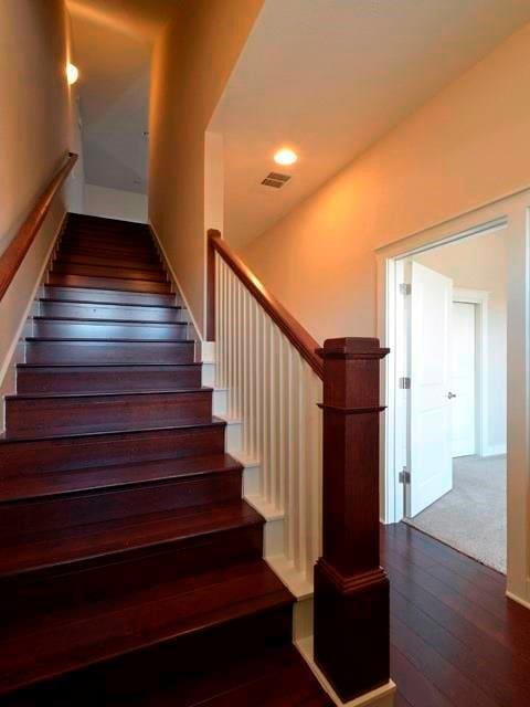 Photo - 2520 Bluebonnet Ln Unidad 10