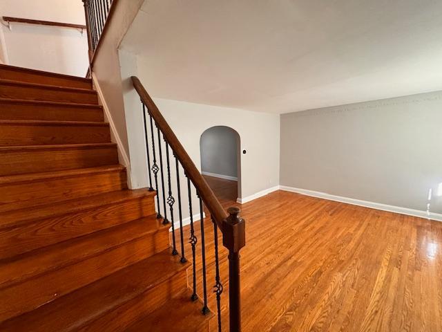 Photo - 1726 E Belvedere Ave