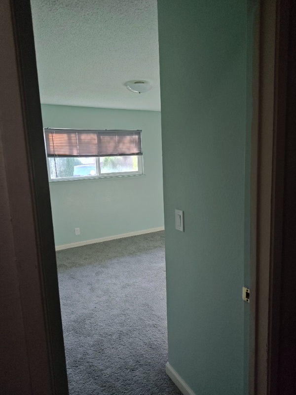 Photo - 1536 Holleran Ct