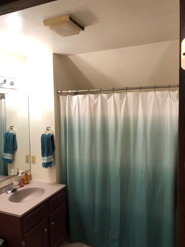 Bathroom View - 112 S Bassett St Unit #2  SUBLET  NO DEPOSIT