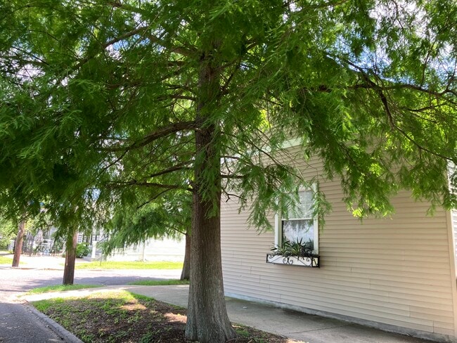 Cypress shaded converted corner restaurant - 2039 Valence St Unit 2039 Valence Street Rental