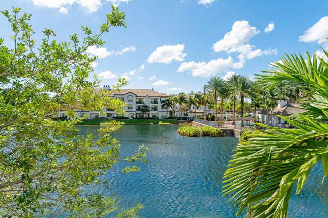 Pond views
